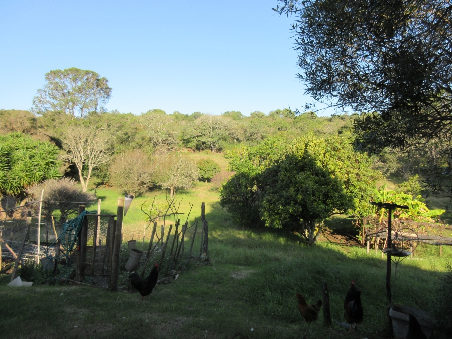 3 Bedroom Property for Sale in Bathurst Eastern Cape